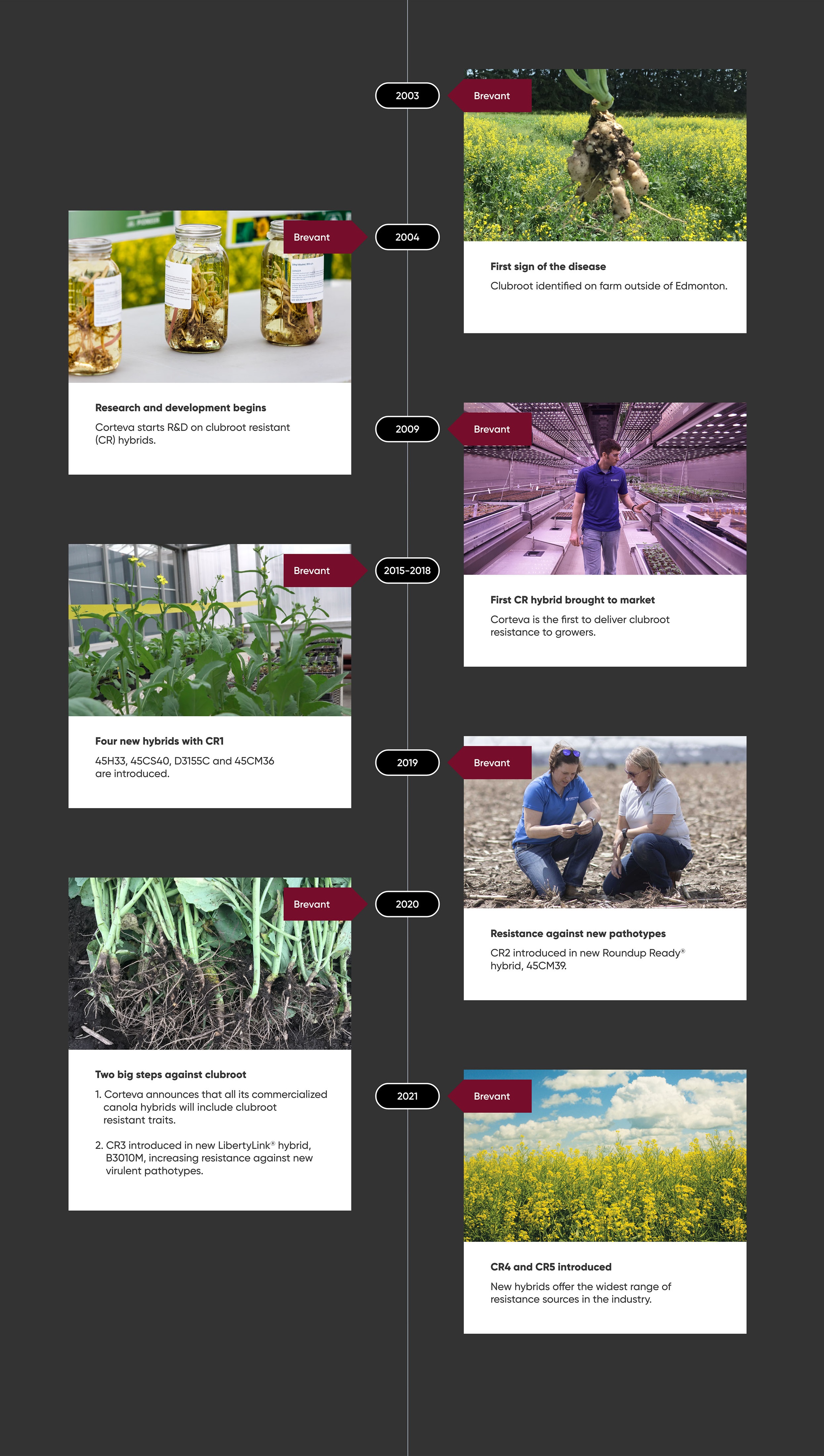brevant infographic clubroot timeline